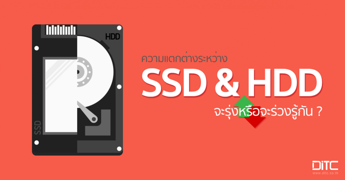 ความแตกต่างระหว่าง SSD กับ Harddisk จะรุ่งหรือจะร่วงรู้กัน!